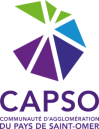 Logo capso cmjn 231x300