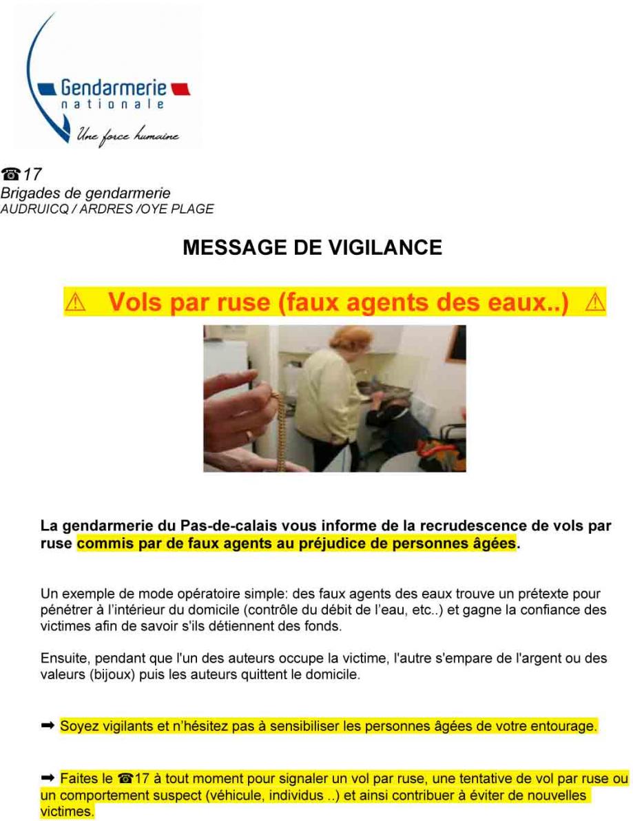 Msg vigilance vol ruse 1