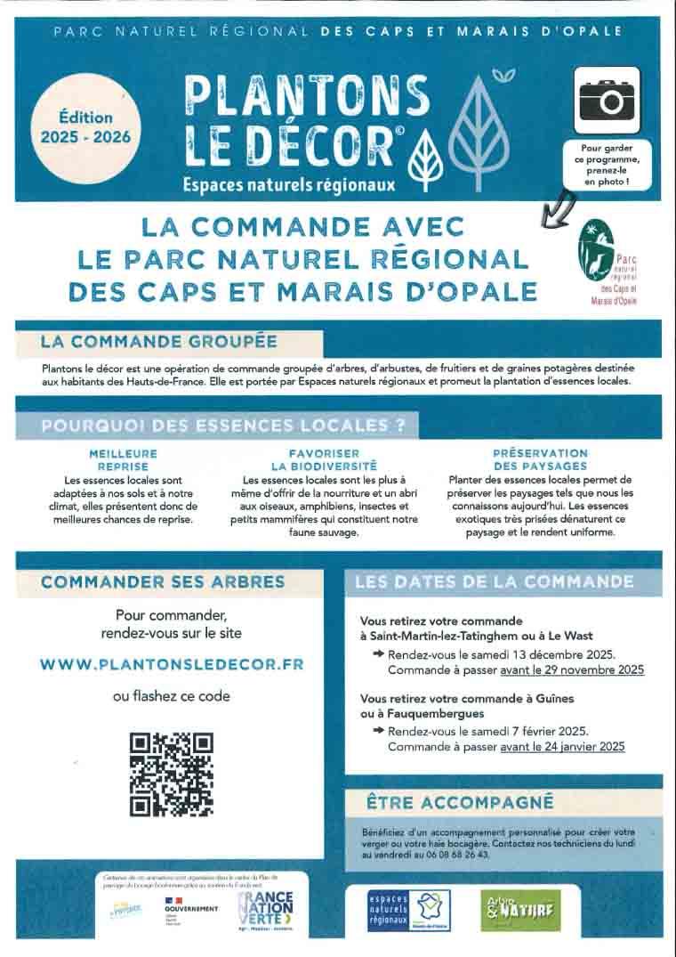Plantons le decor 1